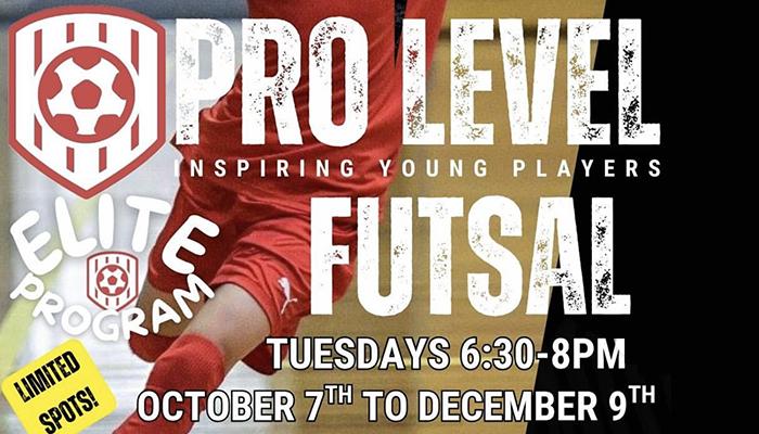 Pro Level Futsal Elite Program (U9–U12)